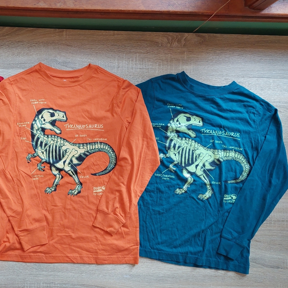 Land's End euc/ln Size 14-16 tees - Picture 12 of 15